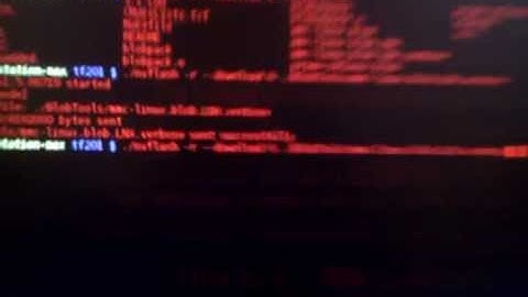 TF201 dual-boot gentoo and JB