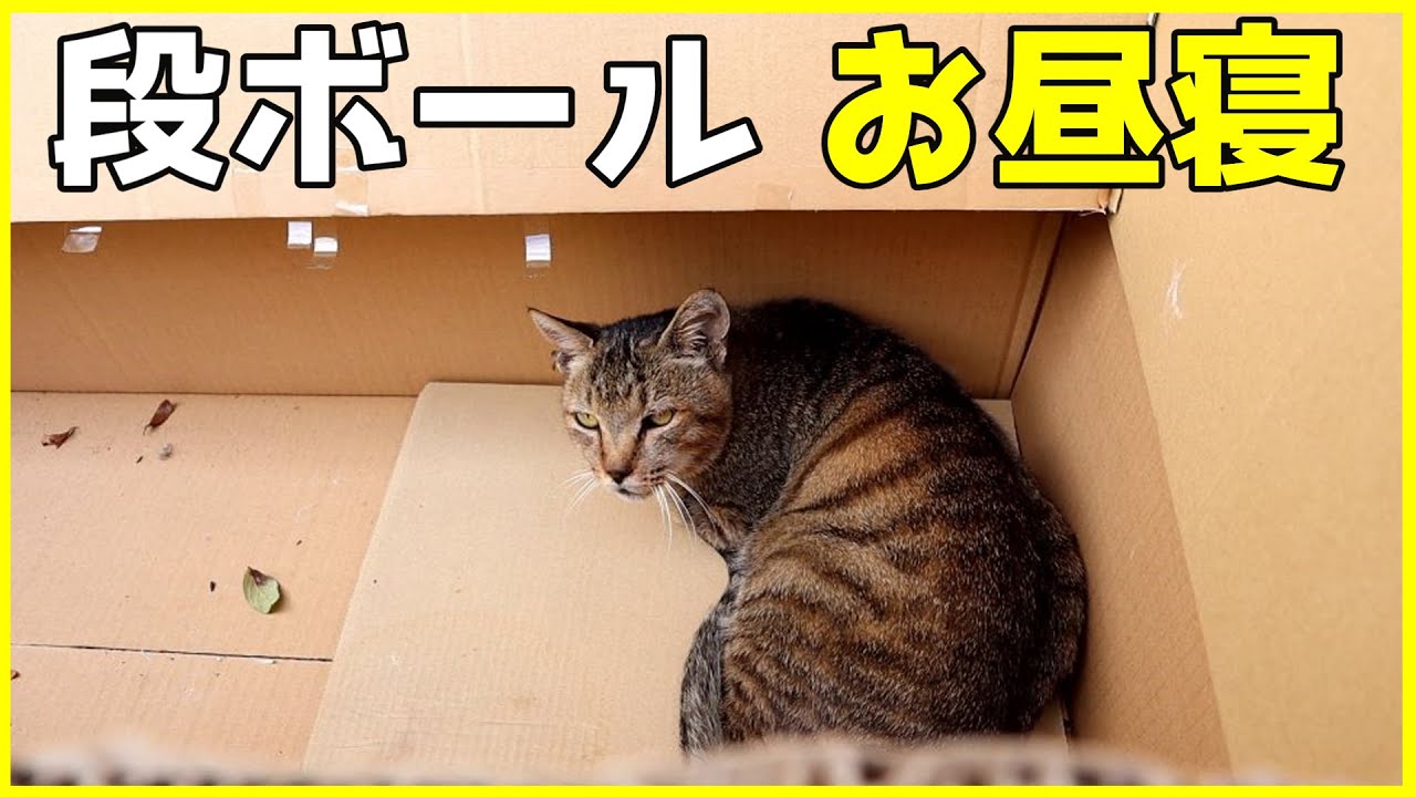 Iqppk5oj K2kfm Iqppk5oj K2kfm
