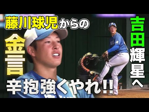 【ブルペン投球】吉田輝星投手へ藤川球児からのメッセージ！【2/18 ファイターズキャンプ】（北海道日本ハムファイターズ）