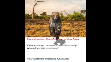 Videomarketing for Insurance Agents