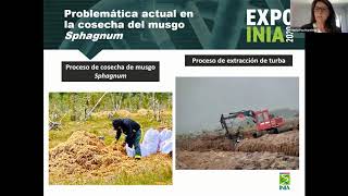 Charla: Musgo Sphagnum