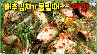 꼬소한 봄동에 '이것' 궁합이 끝내줘요~ 봄동 김치 담그세요~
