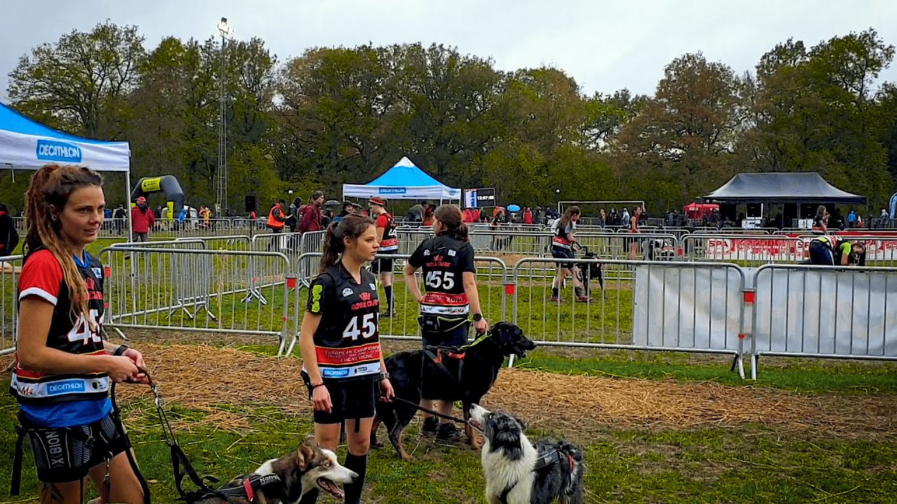 TRAILER EUROPEAN CHAMPIONSHIP 2019 [Canicross & Bikejoring & Scooter