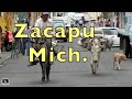 Video de Zacapu