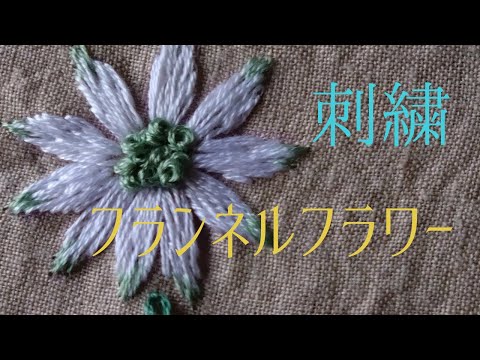 図案写し無し】フランネルフラワーの刺繍の刺し方を紹介しています