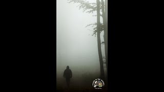 Cabin on the Web Tickets Giveaway! #citwff #filmfestival
For a chance to win, visit my Instagram page or comment on this video, share it to your community page and subscribe to @cabininthewoodsfilmfest!
Winners will be announced on May 31st!
Online film festival will take place on August 23rd & 24th!
★ Cabin in the Woods Film Festival Info ★
Website | https://www.cabininthewoodsfilmfestival.com/
Twitter | https://x.com/cabin_fest
Instagram | https://www.instagram.com/cabininthewoodsfilmfest/
Facebook | https://www.facebook.com/CabinInTheWoodsFilmFest
★ Social ★
patreon | https://www.patreon.com/rainbowFRIGHT
instagram | https://www.instagram.com/deraerae/
twitter | https://twitter.com/_rainbowFRIGHT
letterboxd | rainbowFRIGHT // https://letterboxd.com/rainbowFRIGHT/
email | derae@rainbowfright.com
#film #festival #movies #cabininthewoods #citwff2024 Cabin on the Web Tickets Giveaway! #citwff #filmfestival