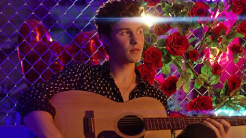 Shawn Mendes Performs at the 2018 iHeartRadio MMVAs
