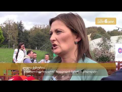 ევროპულმა საქართველომ\" ზუგდიდის სკეიტ პარკში საარჩევნო პროგრამის პრეზენტაცია გამართა.