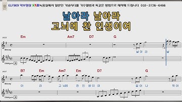 Thumbnail of 날개 허영란