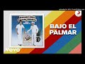 Bajo el Palmar Diomedes Díaz (Letra)