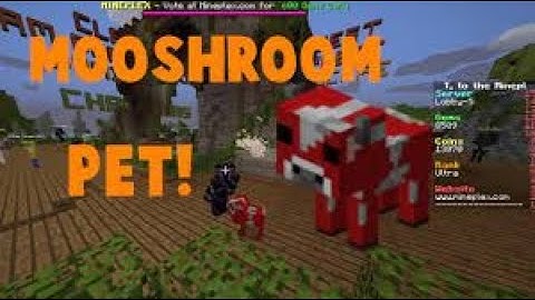 Opening Noble Crate on Mineplex | Mooshroom Pet!