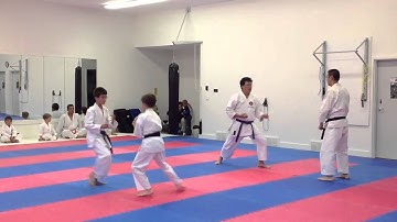 Purple Belt for Brown Belt (4th to 3rd kyu) Ippon Kumite 2012 - IKD Shotokan Karate