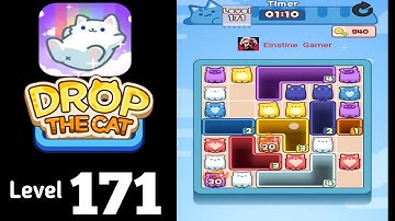 Drop the Cat level 171 Guide Walkthrough Solution