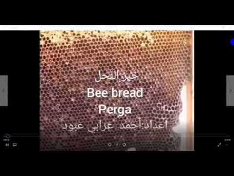 فيديو: كيفية جمع خبز النحل