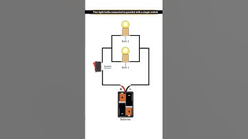 Two light bulbs connected in Parallel with a single switch #electrical #electric #diy #shorts