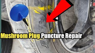 Tire Plug Strip Vs. Mushroom Plug Puncture Repair Kits