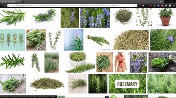 Custom Vision - Using the C# Prediction SDK