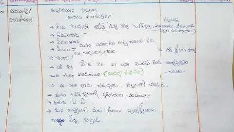 5th class telugu lesson plan (Yadagiri gutta 1)