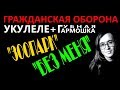 Егор Летов -Зоопарк /без меня (uku cover by Константин Бир,26.12.2017)