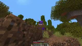 1.19 SMP | Episode 12 | Making an Allay based wheat farm