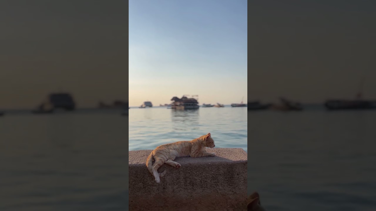 Eddie Chacon - Lay Low (Mike Mol Meditative Remix)