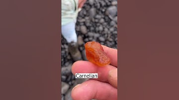 Beautiful stones on the beach  #fossils  #crystals  #rock  #beach  #shorts