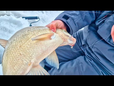 Они не лезут в 180 лунку! Лещи- лопаты в русловом коряжнике! Рыбалка на тяжелые мормышки на реке.