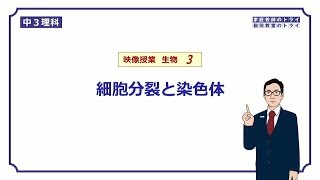 【中３　理科　生物】　細胞分裂と染色体　（１４分）