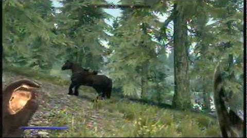 Skyrim: How to get 100 in all combat skills