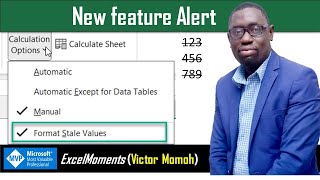 (New Feature) Format Stale Values - Excel Why Is Excel Applying Automatic Strikethrough Stale Formulas