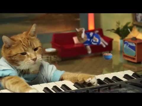 keyboard-cat-plays-during-the-super-bowl