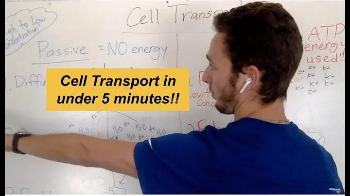 Cell Transport in under 5 Minutes!