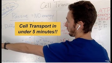 Cell Transport in under 5 Minutes!