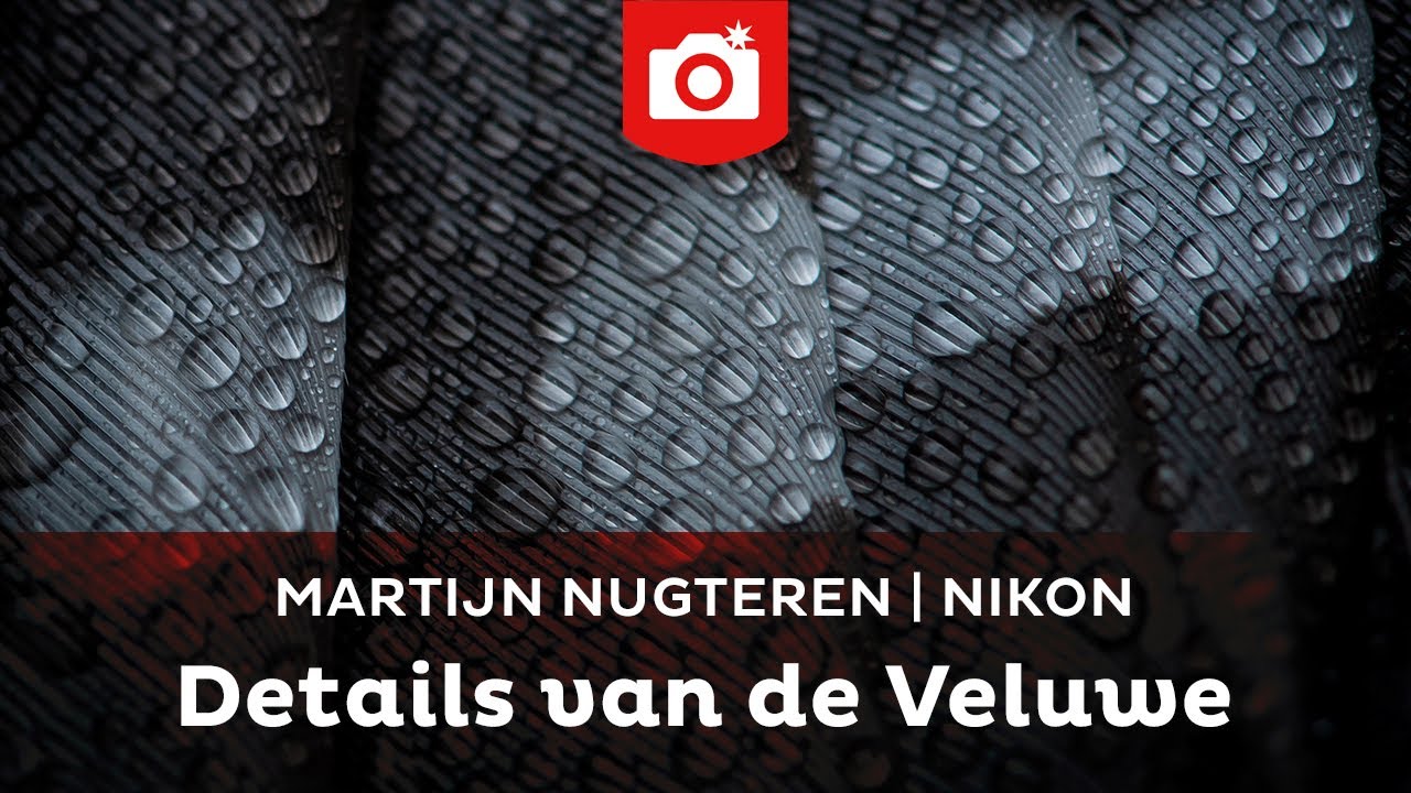 Update Macrofotografie met Martijn Nugteren | Zoom.nl \u0026 Nikon
