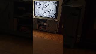 I Love Lucy Theme Song On Catchy Comedy