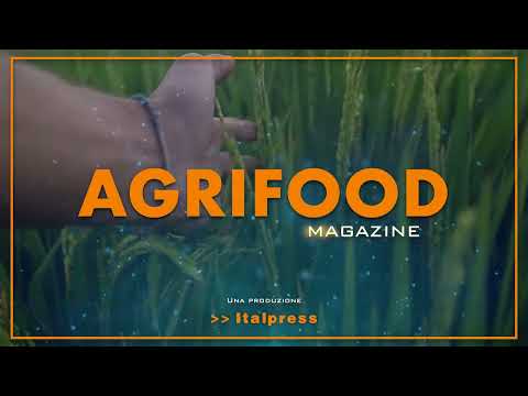 Il biologico continua a crescere ma frenano i consumi - Agrifood Magazine