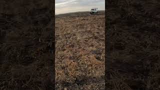 Буду Розробляти Солонці