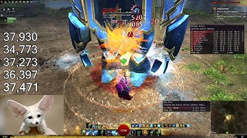 Gw2: [qT] Standard Staff Tempest | DPS Benchmark