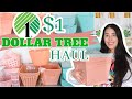 JACKPOT DOLLAR TREE HAUL┃ AMAZING ORGANIZATION BINS┃ $1 CRAFTS