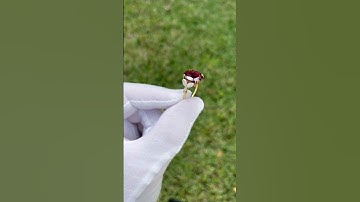 Van Cleef and Arpels No Heat Oval Ruby in 18k Yellow Gold Ring - GRS Certified