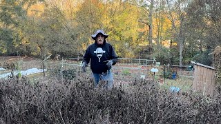 Garden Update for November 15, 2025
