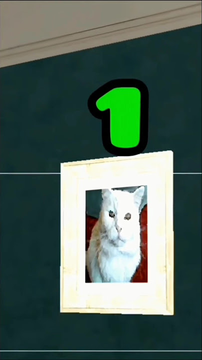 TOP 3 SECRET CATS IN GTA SAN ANDREAS! #viral #shorts
