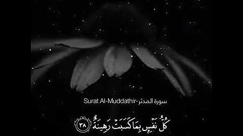 حالات واتساب/ القارئ إدريس أبكر/ تلاوه خاشعه ومؤثره