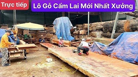 Trực tiếp | Lô Gỗ Cẩm Lai Mới Nhất tại gỗ Việt Bắc