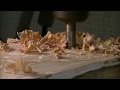 Making a spalted oak formal dining room table. Table sits where the tree once grew. log to table. Making a spalted oak formal dining room table. Table sits where the tree once grew. log to table.