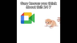 Gary :D #viral #gary #cat #shorts #fypシ