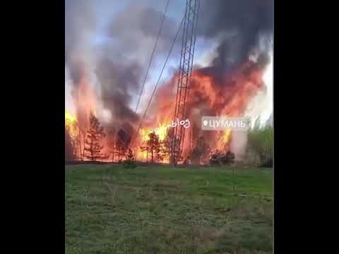 Біля Цумані горів