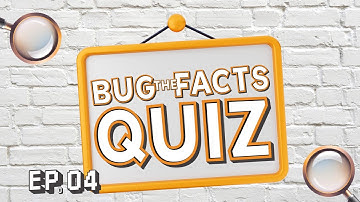 How Well Do You Know AML Compliance? Take the Basic AML Compliance Quiz!