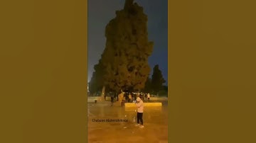 دعاء رائع للمسجد الأقصى - القارئ ماهر المعيقلي