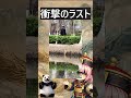 猫ちゃんを驚かせてはいけません！【中国動画解説】引用元：我又怎么了